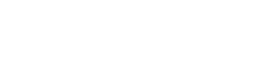 MAX Automobile
